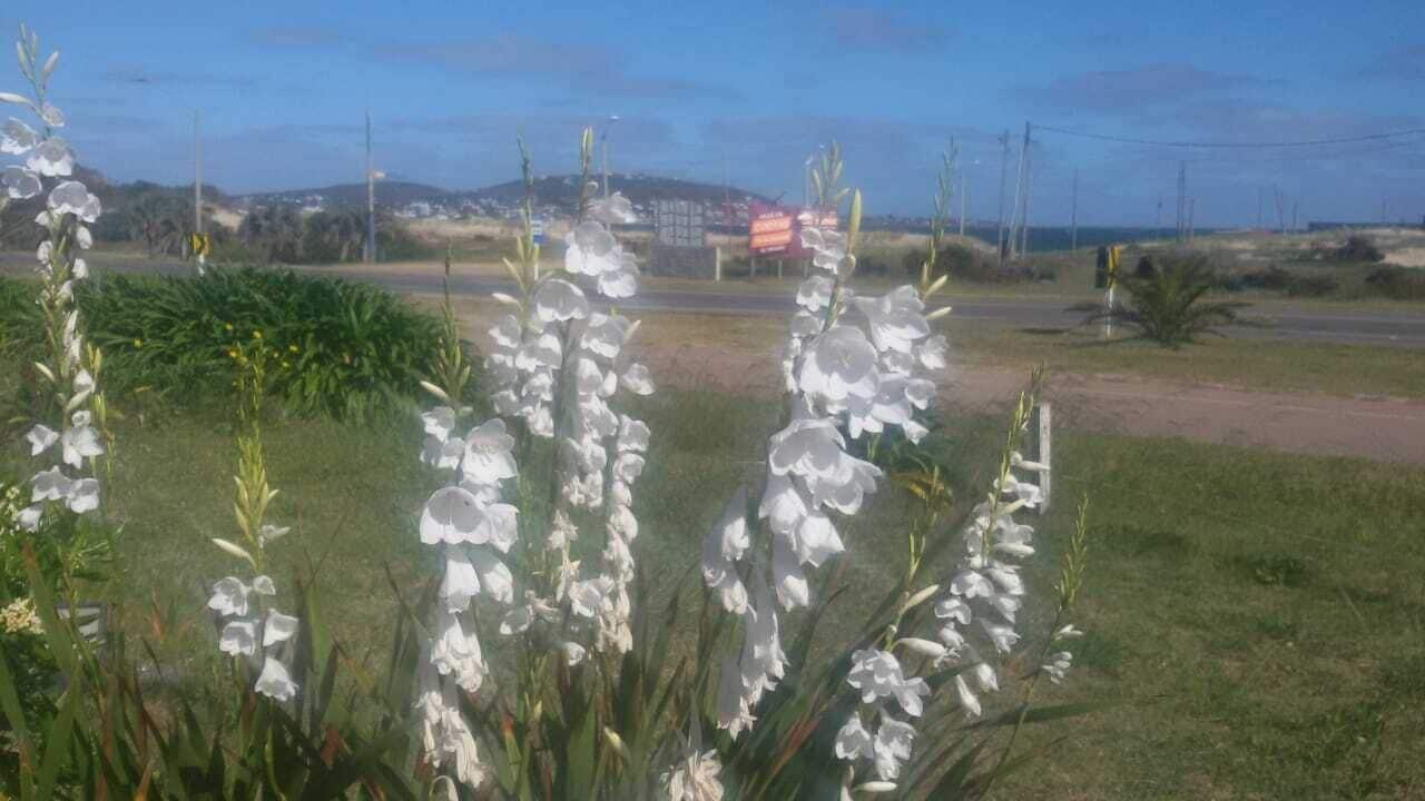 Playa Grande Hotel Piriapolis Bagian luar foto